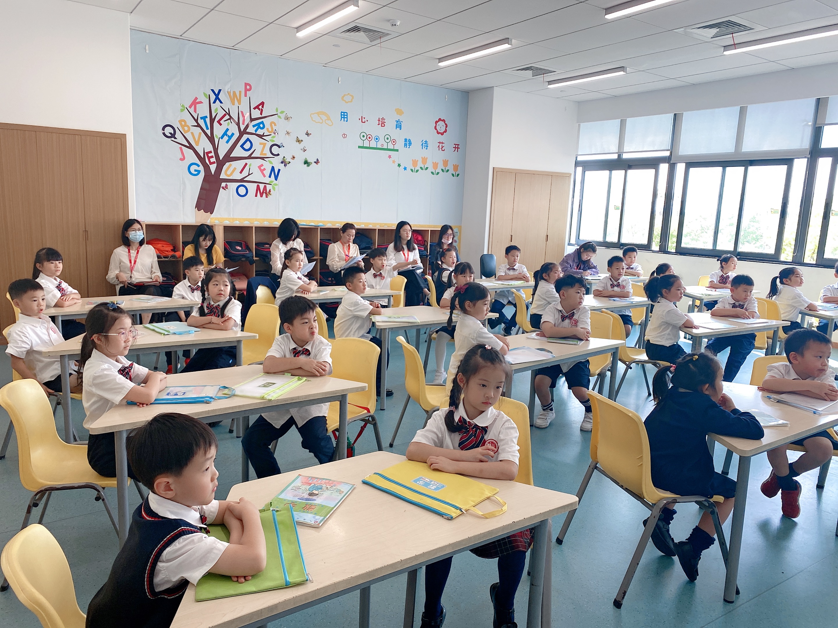 WechatIMG8.jpeg WechatIMG8.jpeg