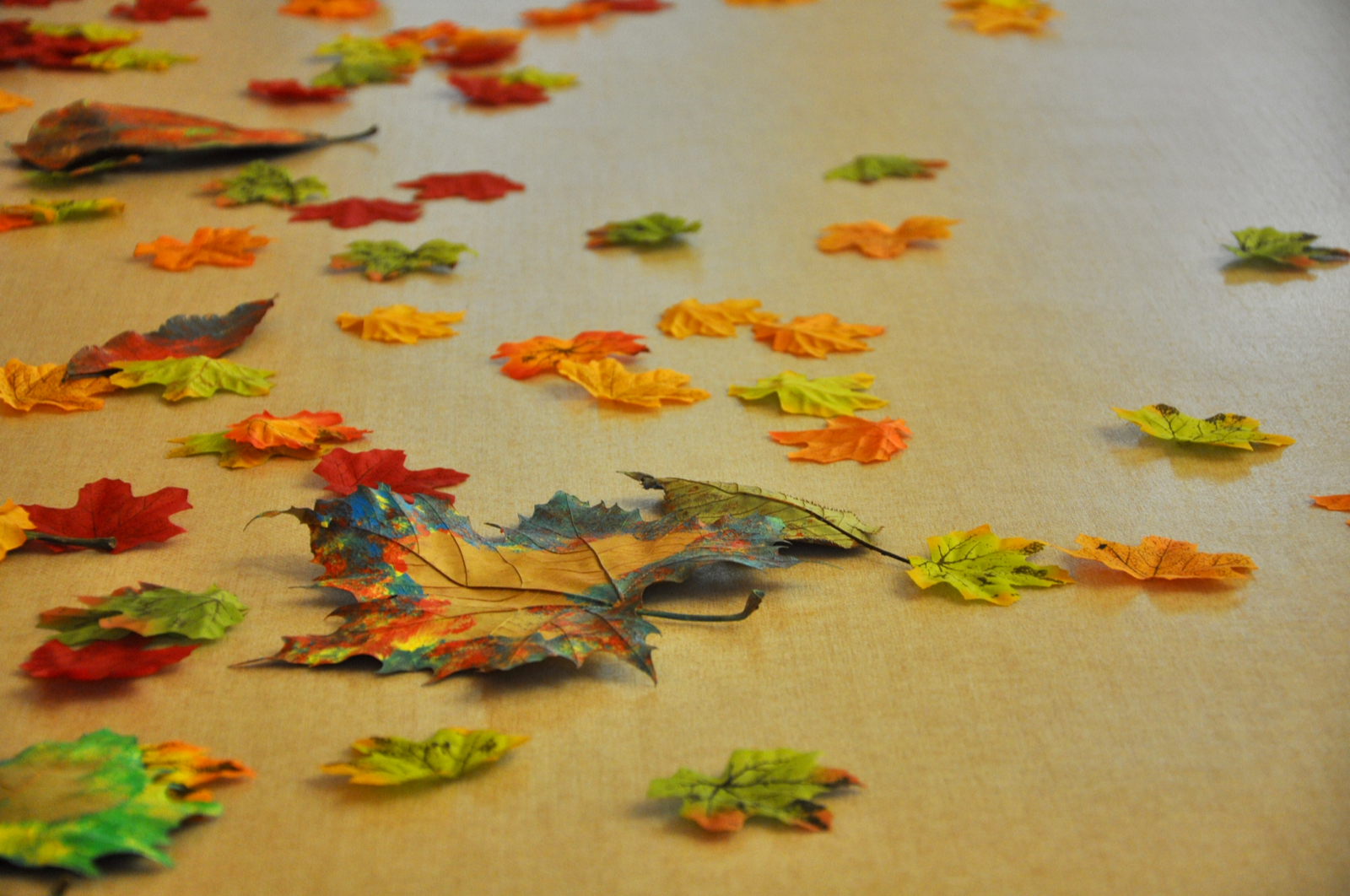 WechatIMG50.jpeg WechatIMG50.jpeg