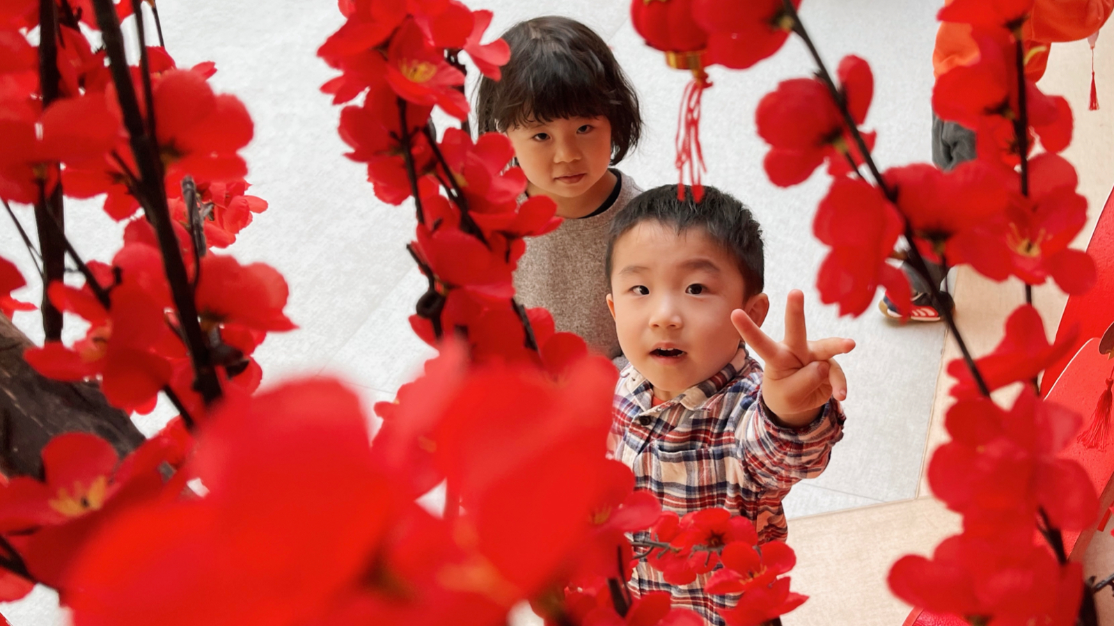 WechatIMG23.jpeg WechatIMG23.jpeg