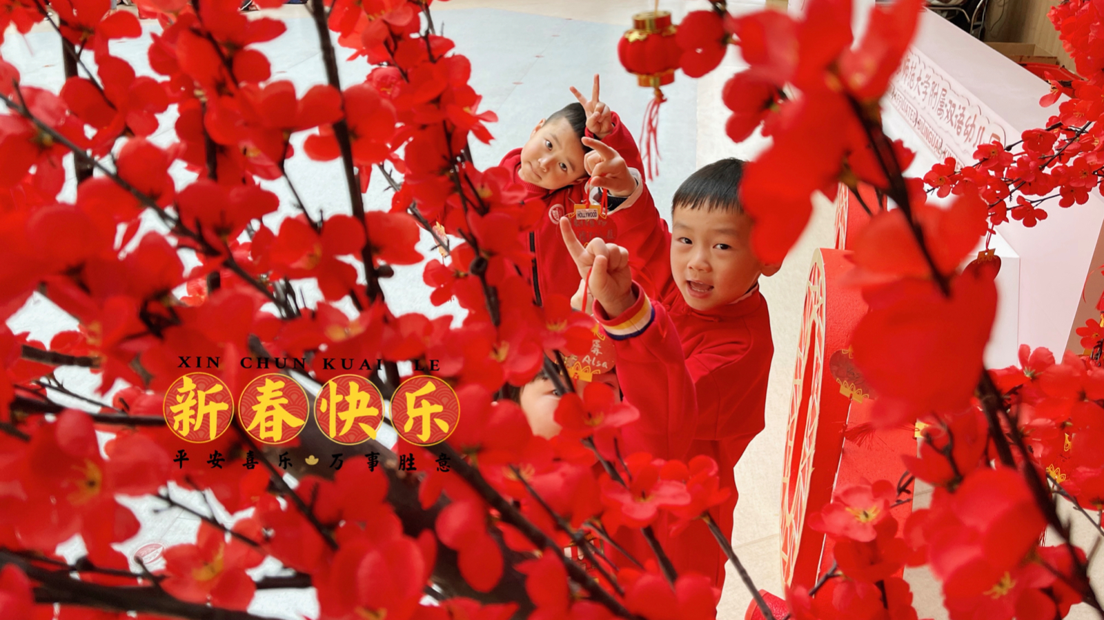 WechatIMG28.jpeg WechatIMG28.jpeg