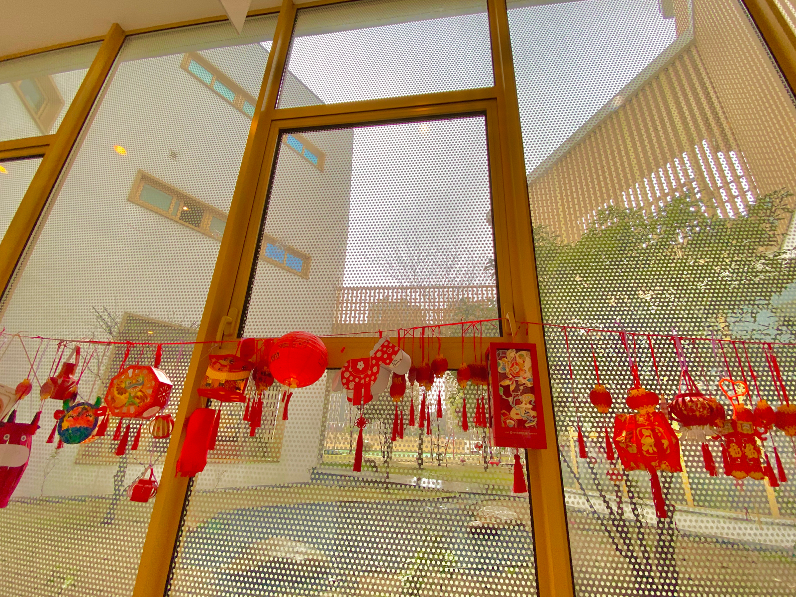 WechatIMG43.jpeg WechatIMG43.jpeg