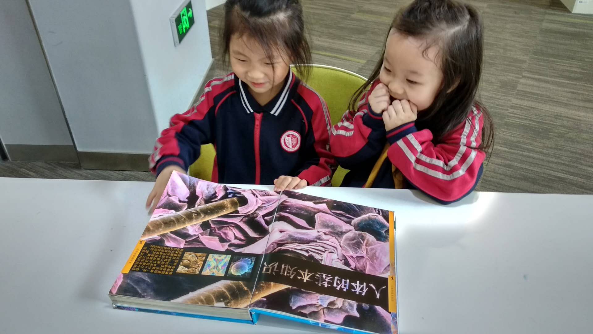 WechatIMG49.jpeg WechatIMG49.jpeg