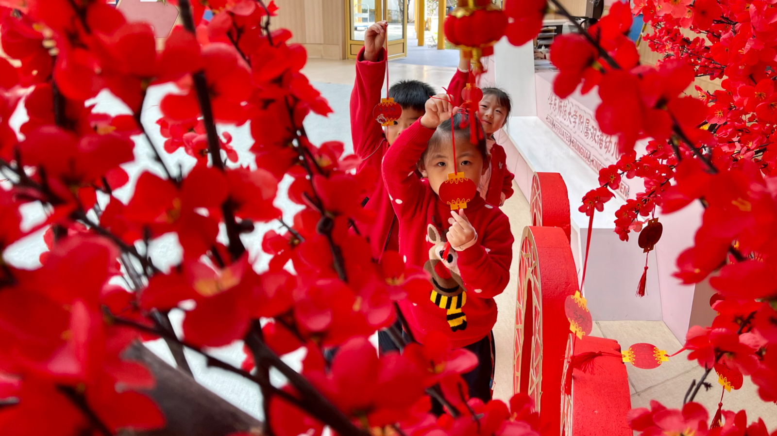 WechatIMG20.jpeg WechatIMG20.jpeg