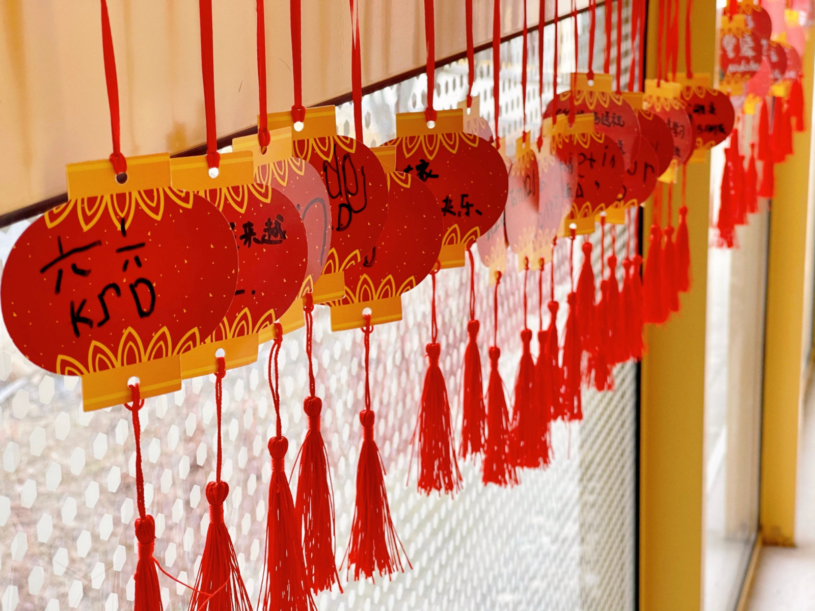 WechatIMG24.jpeg WechatIMG24.jpeg