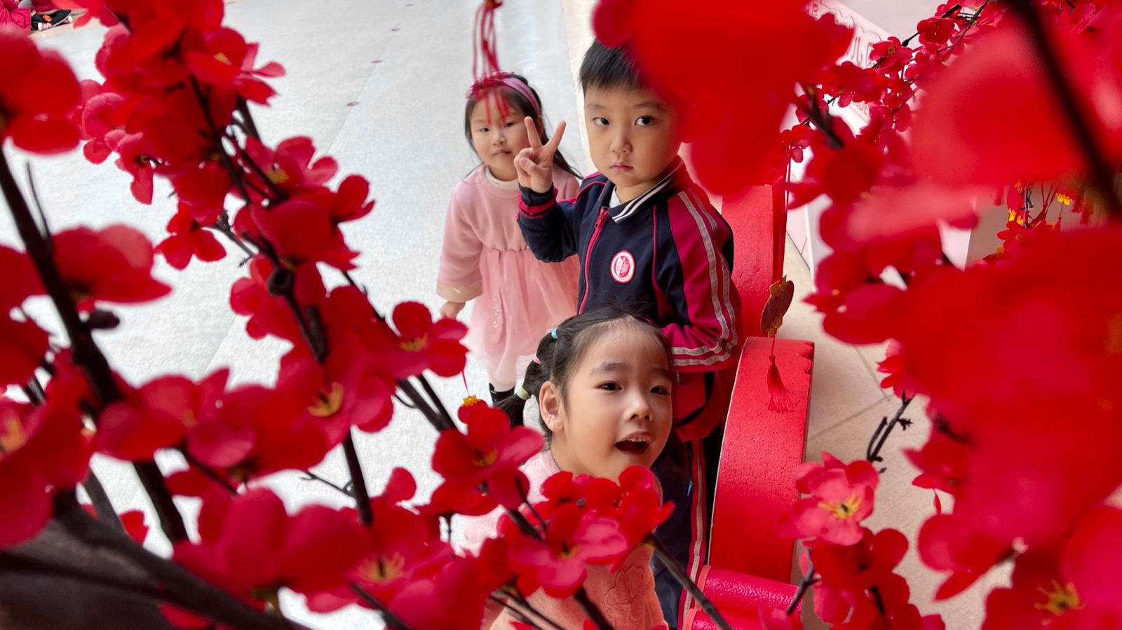 WechatIMG21.jpeg WechatIMG21.jpeg