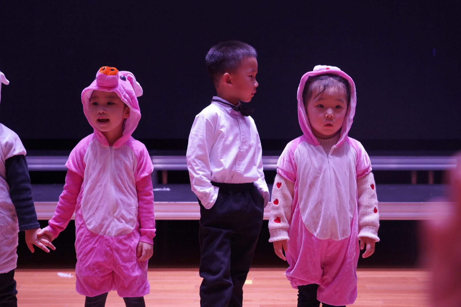 WechatIMG21.jpeg WechatIMG21.jpeg